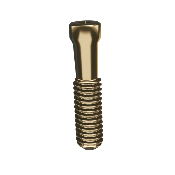 Prosthetic Screw, M2.0, Hex, Nobel Biocare RP